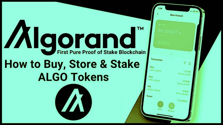 Lưu trữ Algorand (ALGO) coin ở đâu?