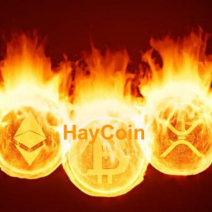 Đốt 650 tỷ USD từ 99,99% nguồn cung HayCoin vì thấy khó chịu